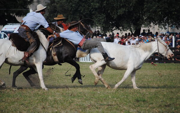 «A lomo de potro en pelo» se vienen desarrollando las jineteadas de semana santa 2012 del Prado