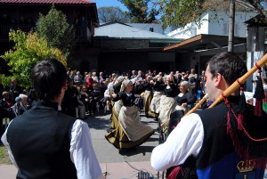 astur103 (6)
