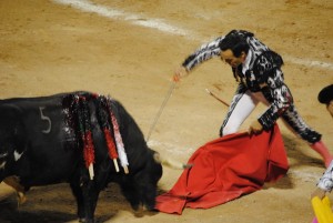 toros (4)