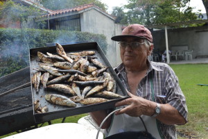 romer-sardinas